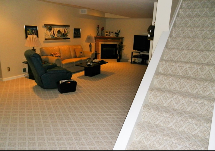Carpet in Basement and stairs
